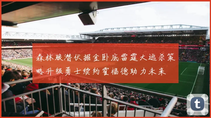 森林狼潜伏掘金卧底雷霆大逃杀策略升级勇士续约霍福德助力未来