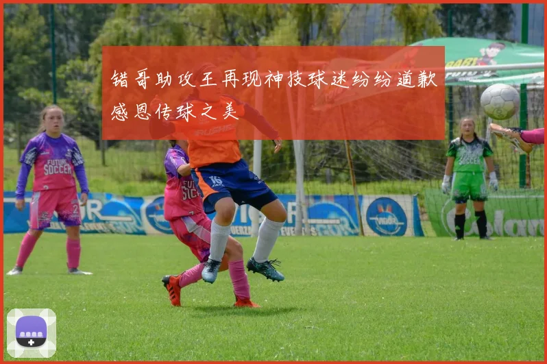 错哥助攻王再现神技球迷纷纷道歉感恩传球之美